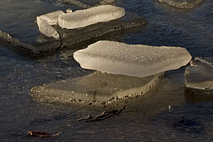 Dbut janvier, le lac est gel; en en faisant le tour, jolis coup d'oeils sur le Massif du Sancy.